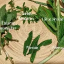 Atelier découverte plantes sauvages et art de la tisane