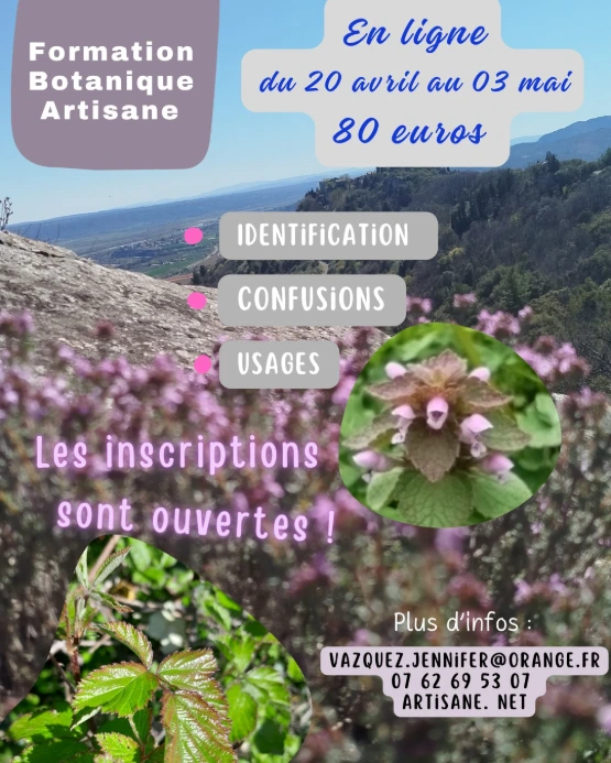 Apprendre et s'éduquer en botanique (en ligne)